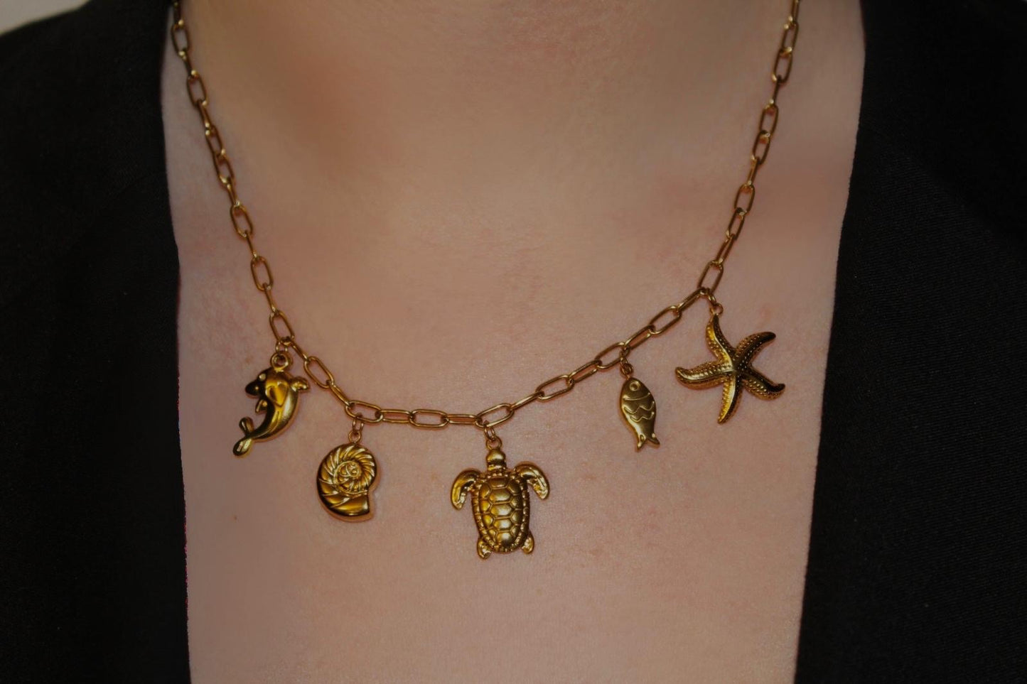 Collana Tesori del Mare