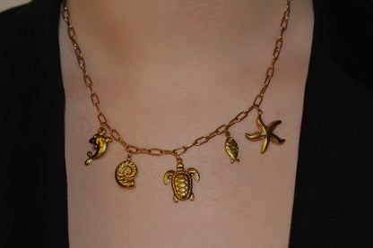Collana Tesori del Mare