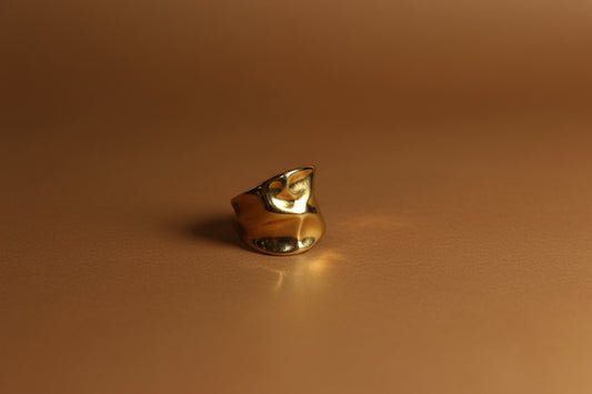 Anello Flux